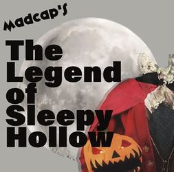 Madcap Puppets at The Lawn at Delhi Towne Square