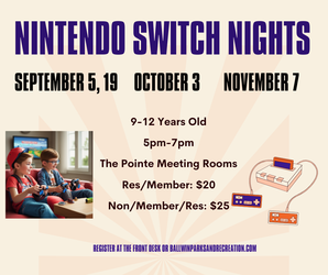 Nintendo Switch Night