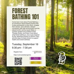 Forest Bathing 101