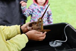 Rain Harvest Festival