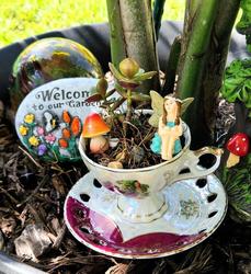 Make & Take Teacup Fairy Garden Workshop