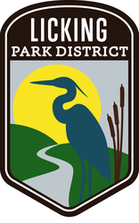 Art in the Park:  Wheel Thrown Pottery Workshop