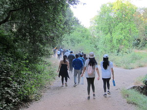 Hike & Sip: Easy and Moderate Hikes