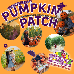 The Great Bakersfield Pumpkin Patch @ Murray Family Farms