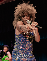 Dee Johnson's Tina Turner Show