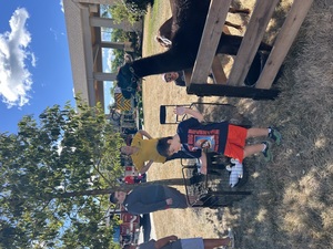 Sycamore Presbyterian Lawn Fete Festival