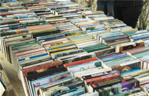 49th Annual Book Sale by the Friends