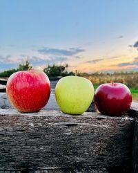 Becker Farms Apple School: Group Educational Tours