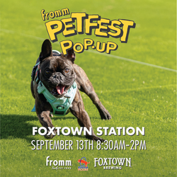 Petfest Pop-Up at Foxtown Station