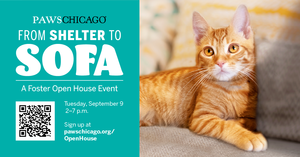 From Shelter to Sofa Foster Open House