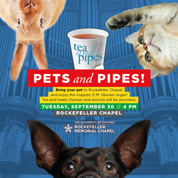 Pets & Pipes: Organ Recital at Rockefeller Chapel