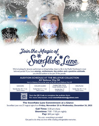 Snowflake Lane Color Guard Auditions