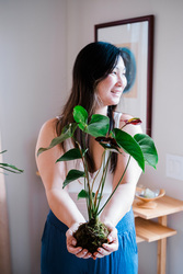 Discover the Art of Kokedama: Japanese 'Moss Ball' Workshop