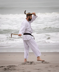 Ueshiro Shorin-Ryu Karate USA