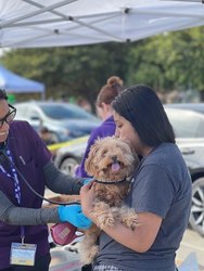 Joybound People & Pets presents: Free Pet Vaccine and Microchip Clinic