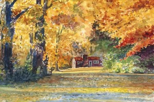 Beyond the Wildflowers | Arcangel Gallery Exhibit