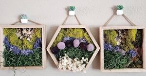 Plant & Sip: Moss Art Frame at Tande Thai