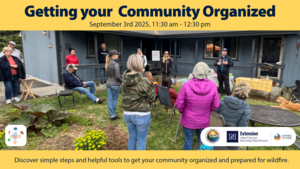 Getting your Community Organized