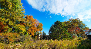 Wisdom Prairie Fall Tour