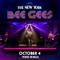 The NY Bee Gees