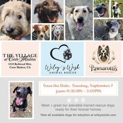 Wiley’s Wish Animal Rescue at The Village at Corte Madera