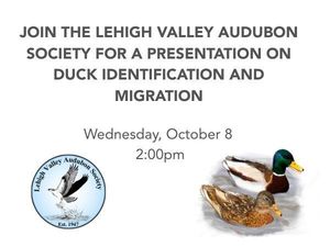 DUCK IDENTIFICATION AND MIGRATION