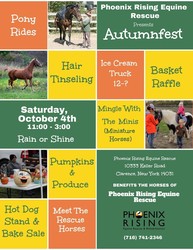 Autumnfest at the farm 2025