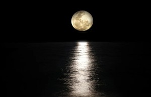 Starry Night Series: Finale