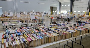 Book Sale by Friends of Kreutz Creek Library: 22,000+ Books, Puzzles, DVDs & CDs, Baked Goods
