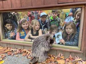 Scout Night @ Brandywine Zoo