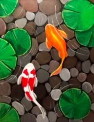 Koi's Will be Koi's