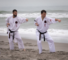 Ueshiro Shorin-Ryu Karate USA