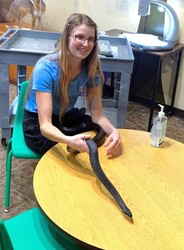 Animal Ambassador Meet n' Greet