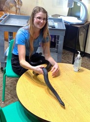 Animal Ambassador Meet n' Greet