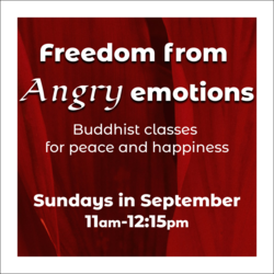 Learning to Meditate: Freedom From Angry Emotions