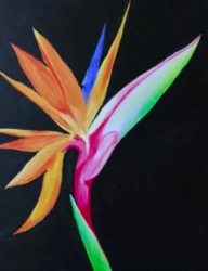 Bird of Paradise