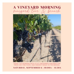 A Vineyard Morning: Vineyard Tour & Brunch