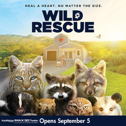 Wild Rescue at the AutoNation® IMAX® 3D Theater at the Museum of Discovery and Science