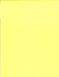 TEE VEE REPAIRMAN (Sydney, Australia) / ITCHY & THE NITS (Sydney, Australia) / GOOD FLYING BIRDS