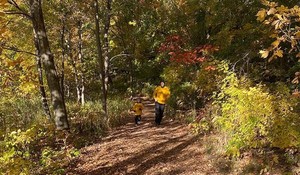 Fall Color Trail Run