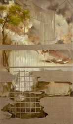 Between Form and Feeling