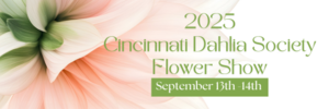 Cincinnati Dahlia Society Flower Show