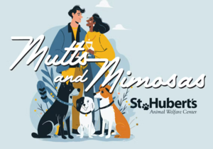 Mutts & Mimosas Adoption Day
