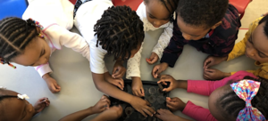 Urban Growers Collective - Budding Growers Volunteer Days