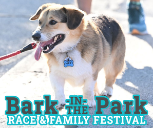22nd Annual Bark in the Park Walk/Run