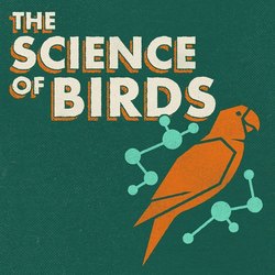 Kids Time (Experts): Bird Science