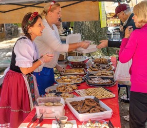 11th Annual Virginia Czech and Slovak Folklife Festival