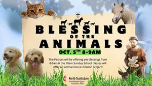 Pet Blessings & St. Francis of Assisi Celebration Service