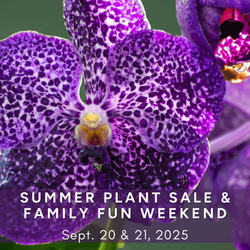 SUMMER PLANT SALE & FAMILY FUN WEEKEND – Kids FREE!