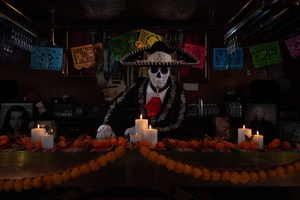 Halloween Party Cruise at the Bahia Resort Hotel